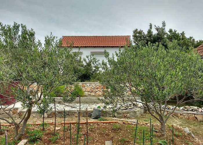 Tatil Evi Summer With Breathtaking View Zečevo